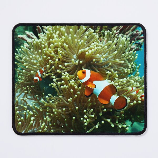 Item preview, Clownfish Swimming in Wild Sea Anemone designed and sold by Luxxe87.