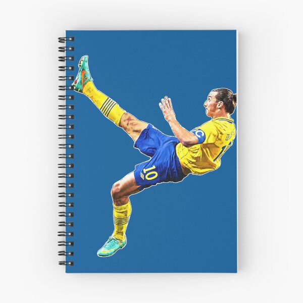 Item preview, ibra-kick designed and sold by On Target Sports.