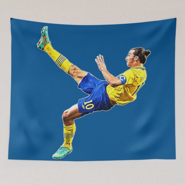 Item preview, ibra-kick designed and sold by On Target Sports.