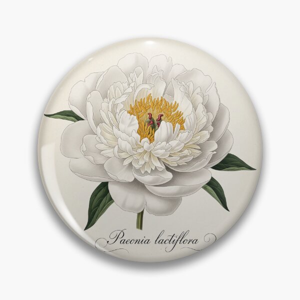 Item preview, Vintage Peony Botanical Illustration – White Peony Flower Art Print designed and sold by BloomandGrace.