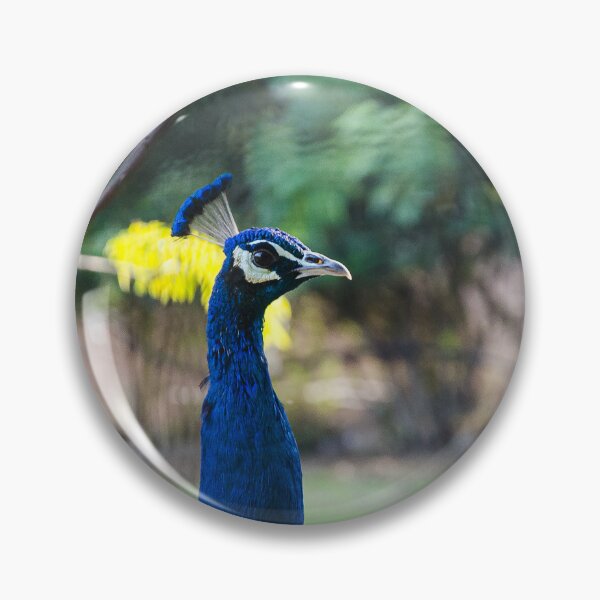 Item preview, Vibrant Blue Peacock Portrait - Elegant Wildlife Photography designed and sold by BeyaDh.
