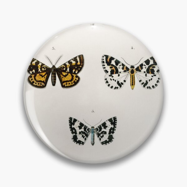 Item preview, Moths illustrated by Charles Dessalines D' Orbigny (1806-1876)  designed and sold by AngyDesigns49.