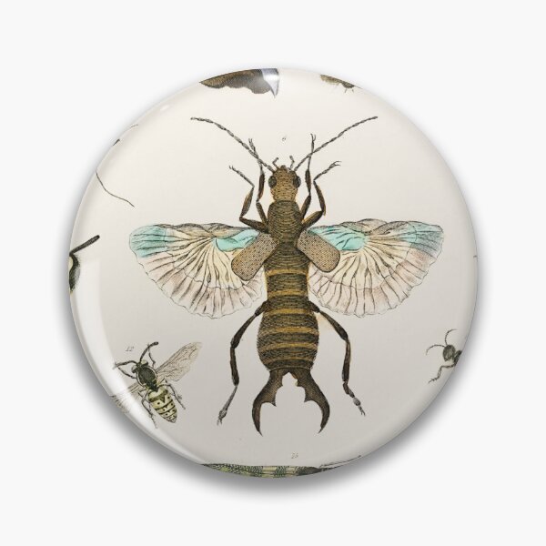 Item preview, Collection of various insects designed and sold by AngyDesigns49.