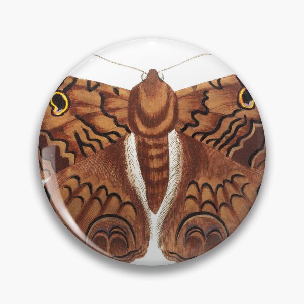 Item preview, Sable Moth illustration from The Naturalist's Miscellany (1789-1813) by George Shaw (1751-1813) designed and sold by AngyDesigns49.