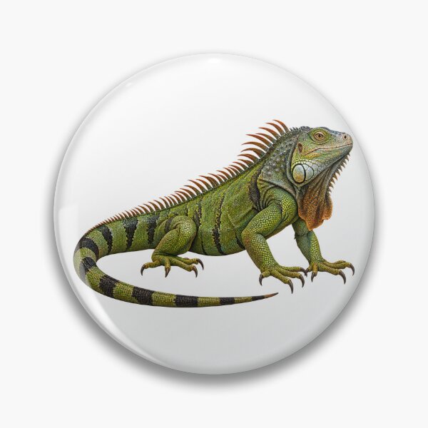 Item preview, This is a simple design of an iguana designed and sold by RBBeachDesigns.