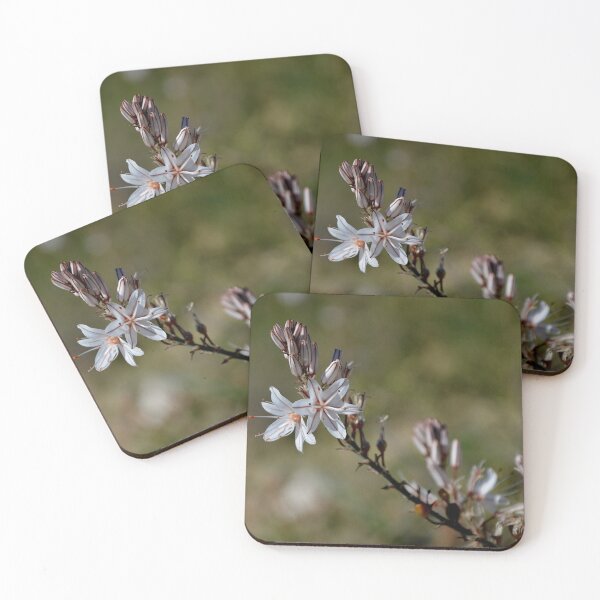 Item preview, Delicate Asphodel Wildflower - Mediterranean Botanical Macro designed and sold by BeyaDh.