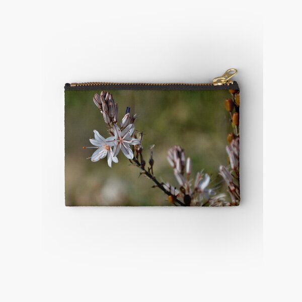 Aperçu de l'œuvre Delicate Asphodel Wildflower - Mediterranean Botanical Macro créée et vendue par BeyaDh.