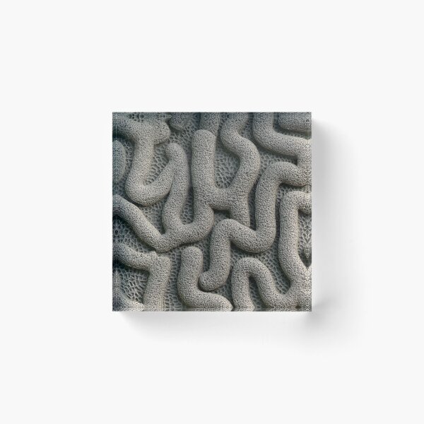 Item preview, Off White Thick Tubular Coral Relief Pattern designed and sold by Piotrek0001.