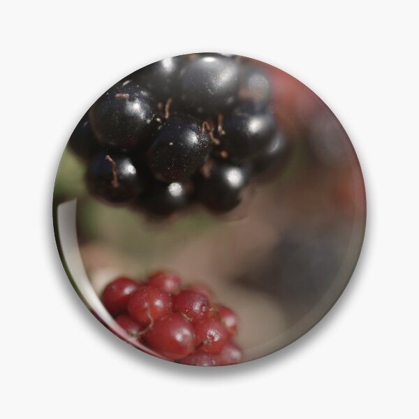 Artikelvorschau, Brombeeren entworfen und verkauft von Top-photo.