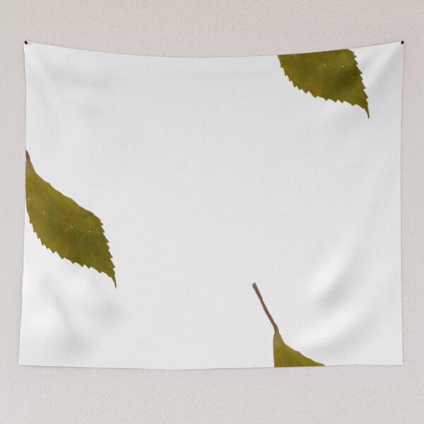 Item preview, Dry Fall  designed and sold by PoojasGlam.
