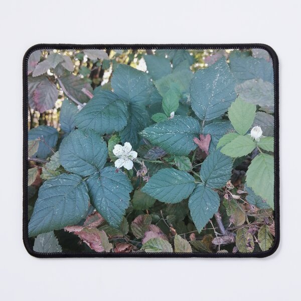 Item preview, Blue Green Leaves And White Flowers designed and sold by PhuongVoArt.