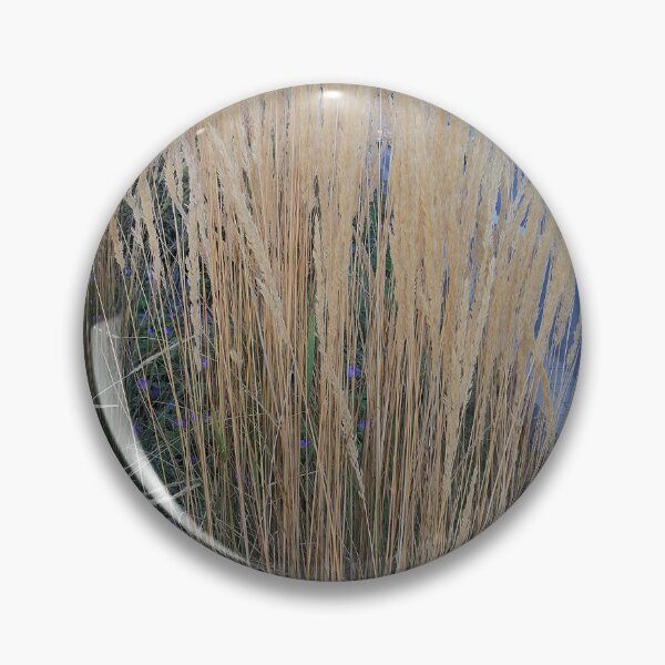 Item preview, Golden Ornamental Grass Along City Street designed and sold by PhuongVoArt.