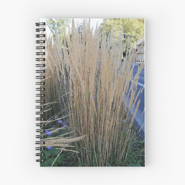 Item preview, Golden Ornamental Grass Along City Street designed and sold by PhuongVoArt.