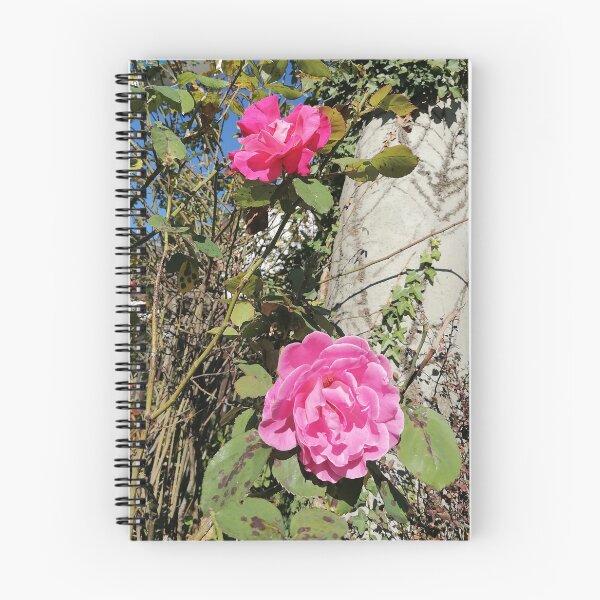 Artikelvorschau, Pink Roses Blooming In Sunny Garden entworfen und verkauft von PhuongVoArt.