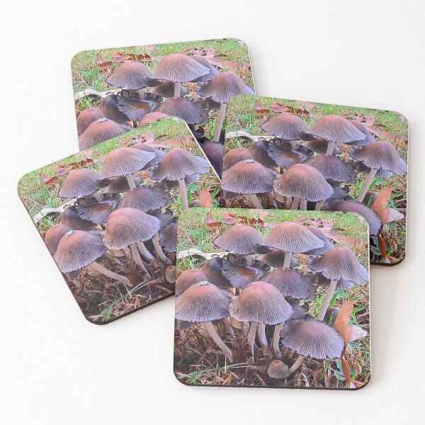 Item preview, Mushroom Group designed and sold by Christopher Guilkey Photography .