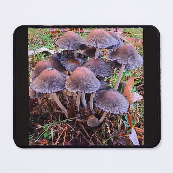 Item preview, Mushroom Group designed and sold by Christopher Guilkey Photography .