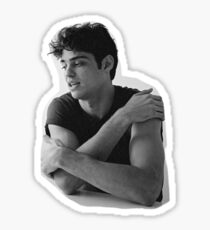 Peter kavinsky Sticker