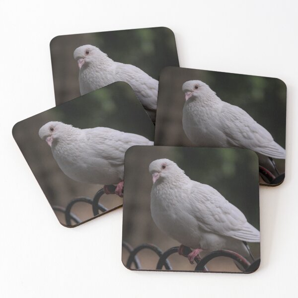 Item preview, Beautiful Dove Resting Momentarily designed and sold by SirNivyArt.