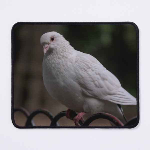 Item preview, Beautiful Dove Resting Momentarily designed and sold by SirNivyArt.