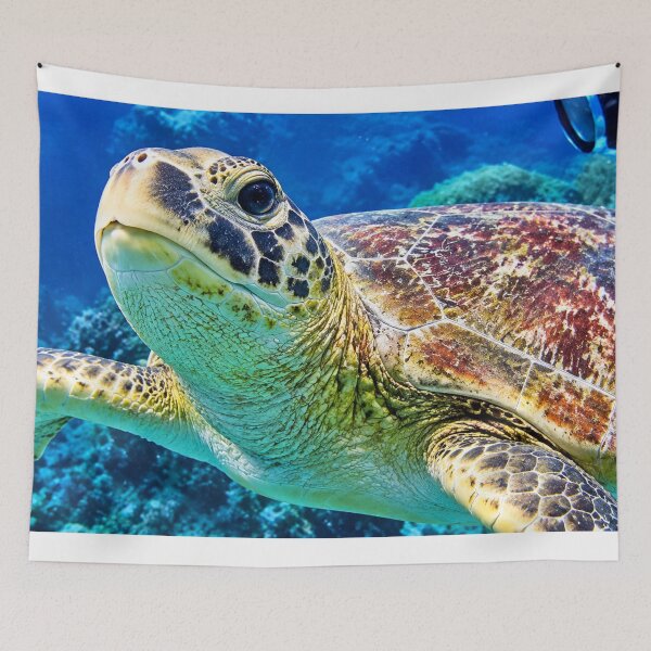 Item preview, The Close up Visit of a Turtle designed and sold by Harold122Jade.