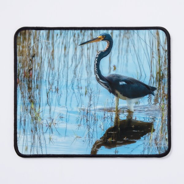 Item preview, Tricolored Heron designed and sold by Kay Brewer.
