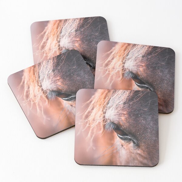 Item preview, A horse's eye in the evening light – expressive gaze designed and sold by Nicole Bleck.