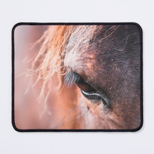 Item preview, A horse's eye in the evening light – expressive gaze designed and sold by Nicole Bleck.