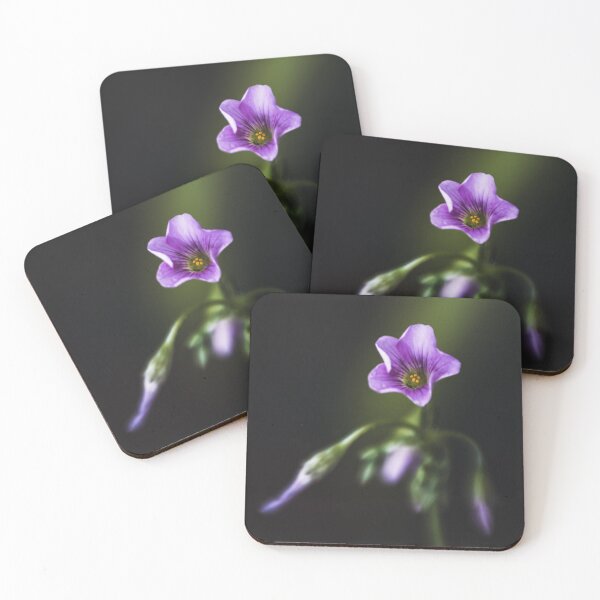 Artikelvorschau, Zarte violette Blüte – Verträumte Blumenfotografie entworfen und verkauft von Nicole Bleck.