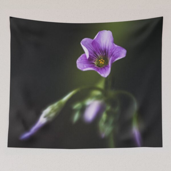 Item preview, Delicate violet blossom – Dreamy flower photography designed and sold by Nicole Bleck.