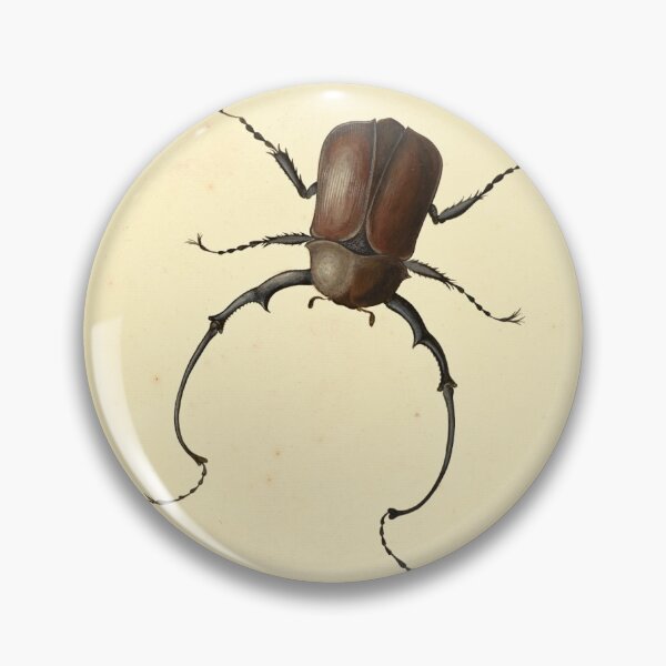 Item preview, Four Beetles and a Flying Stink Bug; Nicolaas Struyck (1686-1769) designed and sold by AngyDesigns49.