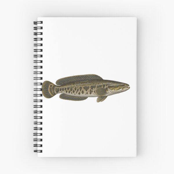Item preview, Bowfin Fish designed and sold by TJT-GRAPHIX.