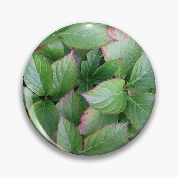 Item preview, Hydrangea plant leaves designed and sold by EleniA8.