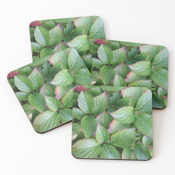 Item preview, Hydrangea plant leaves designed and sold by EleniA8.