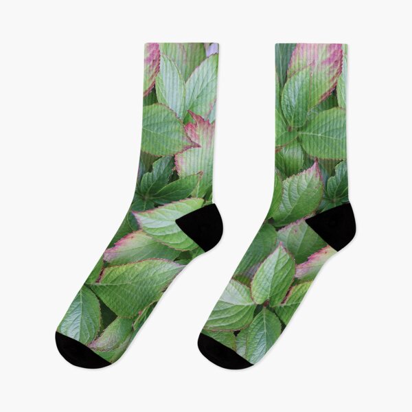 Item preview, Hydrangea plant leaves designed and sold by EleniA8.