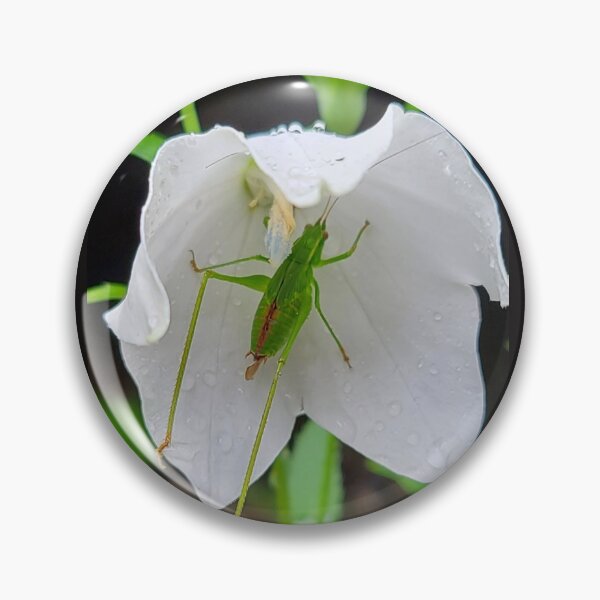 Item preview, Sheltering From the Rain designed and sold by Christopher Guilkey Photography .