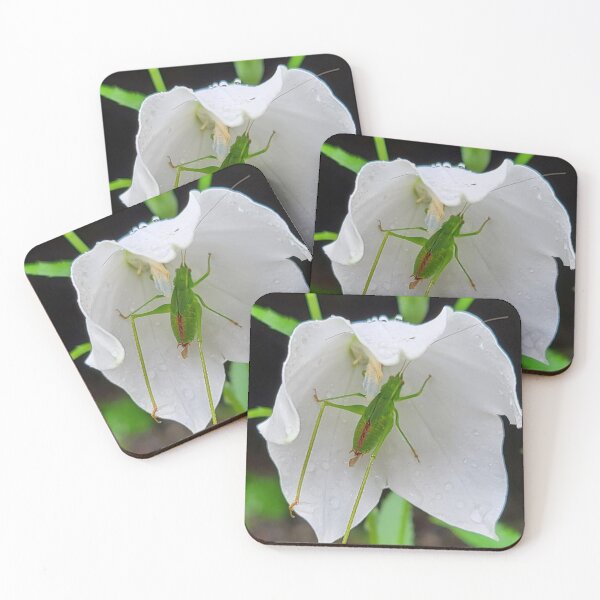Item preview, Sheltering From the Rain designed and sold by Christopher Guilkey Photography .