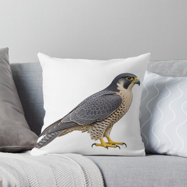 Item preview, Falcon designed and sold by TJT-GRAPHIX.