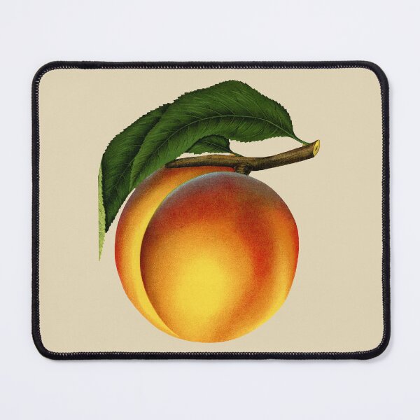 Item preview, Elberta Peach Chromolithograph, Rochester Lithographing and Printing Company, circa 1900 designed and sold by Exhumed Archives.