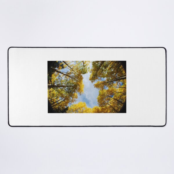 Item preview, Circle of Aspens designed and sold by Photos By Michel.
