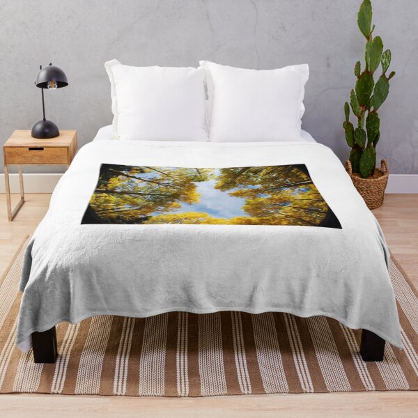 Item preview, Circle of Aspens designed and sold by Photos By Michel.