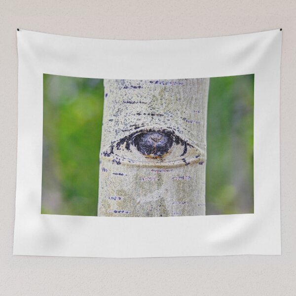 Item preview, All-Seeing Eye designed and sold by Photos By Michel.