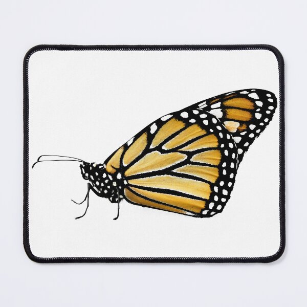 Item preview, Monarch butterfly cut-out designed and sold by Joel Bader.
