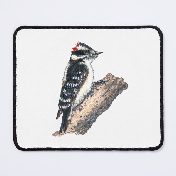 Item preview, Downy Woodpecker designed and sold by Laeton Designs.