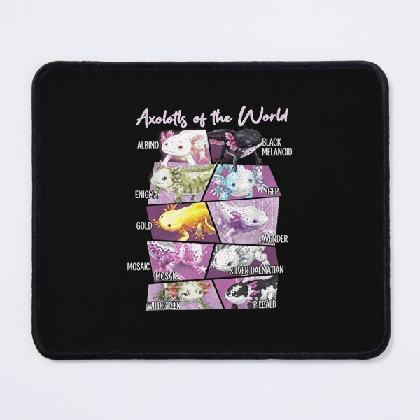 Item preview, Axolotls of the World Color Morph Identification Chart designed and sold by MiALopezArt.
