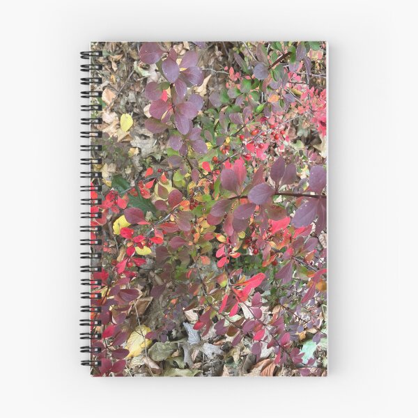 Item preview, Autumn  designed and sold by Amanda1775.