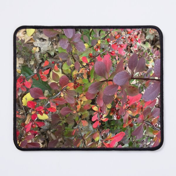 Item preview, Autumn  designed and sold by Amanda1775.