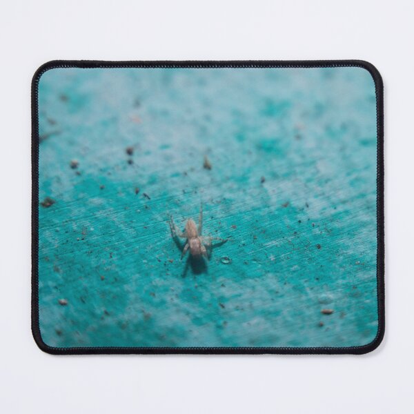 Item preview, harmless wall spider designed and sold by ROSE ANN BANILAR.