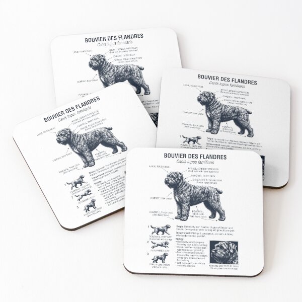 Item preview, Bouvier des Flandres Scientific Anatomy Biology Dog Lover designed and sold by dian-rody-crest.