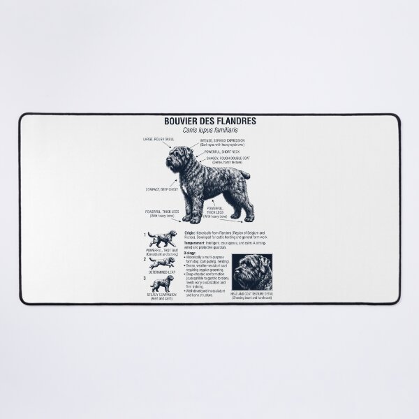 Item preview, Bouvier des Flandres Scientific Anatomy Biology Dog Lover designed and sold by dian-rody-crest.