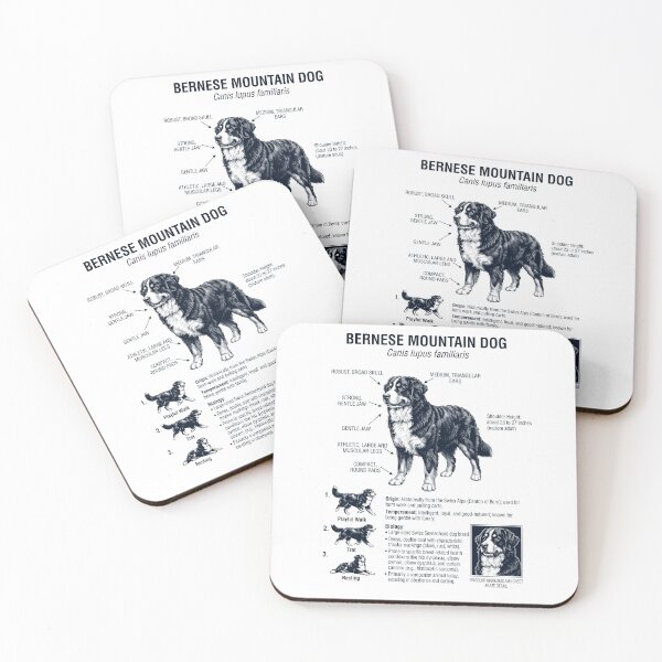 Item preview, Bernese Mountain Dog Scientific Anatomy Biology Dog Lover designed and sold by dian-rody-crest.